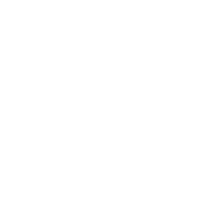 Lingua
