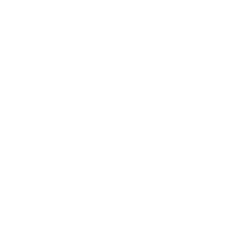 Reset